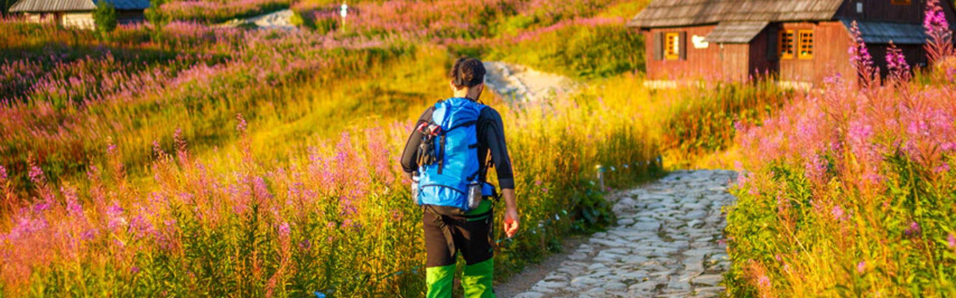 Widok na osobę z plecakiem na plecach spacerującą po kamiennej ścieżce. W okół roślinność a w tle góry.