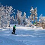 Narciarz szusujący na stacji narciarskiej Słotwiny Arena w zimowy słoneczny dzień