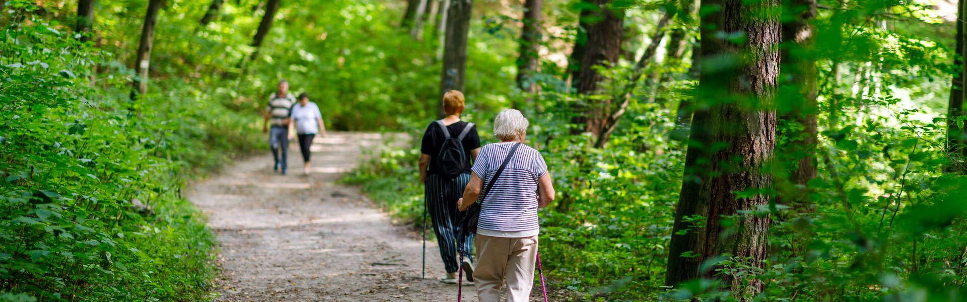 View of a group of elderly people walking on a forest path in the Racławka Valley Nature Reserve. Two women in the foreground hold ‘kilki’ in their hands. They’re standing amidst a gorgeous forest.