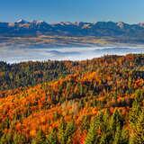 Bild: Widok na Tatry jesienią Turbacz