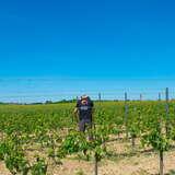 Mężczyzna w koszulce Winnicy Zagardle w Szczodrkowicach stoi tyłem pośrodku pola winorośli, które ciągnie się daleko. Niebo jest bezchmurne