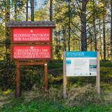 Tabliczki informacyjne z napisem Rezerwat Przyrody Bór na Czerwonem