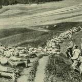 Image: The Battle of Limanowa (December 2–11, 1914)