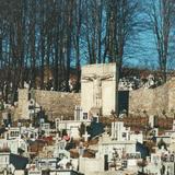 Image: War cemetery no. 190 Janowice